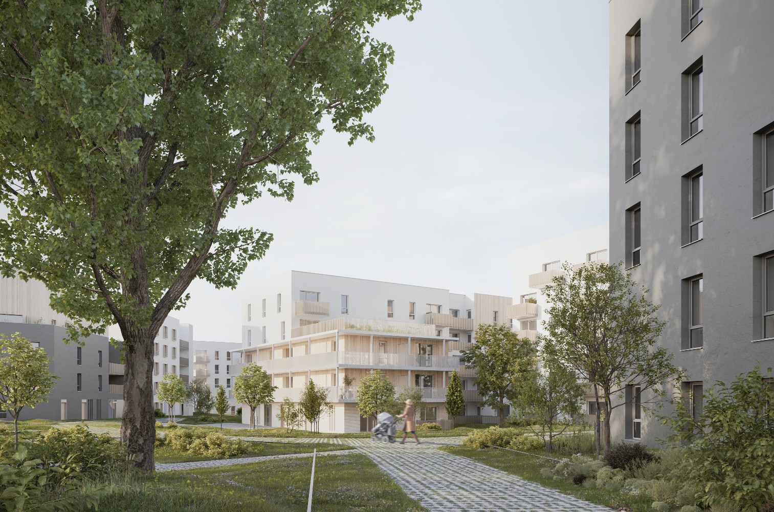 Logements collectifs 4