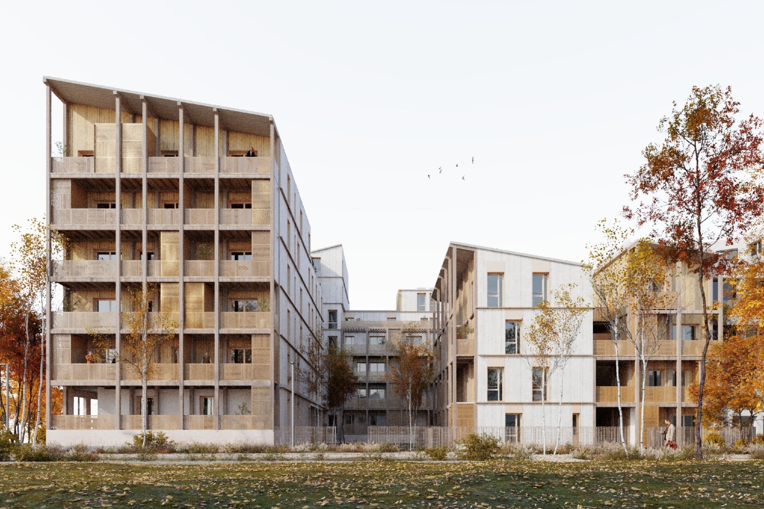 Logements collectifs 1