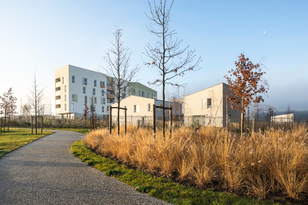 Logements collectifs et maisons individuelles 2