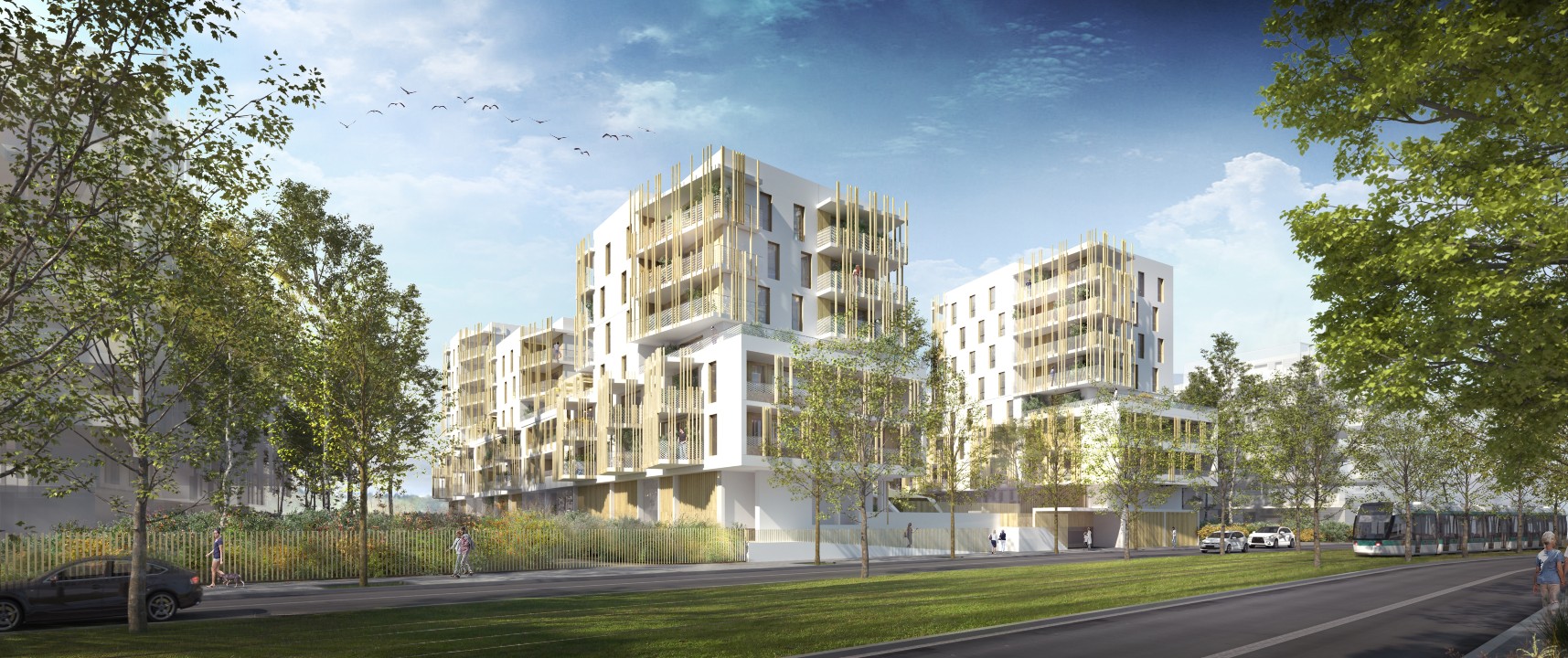 Logements collectifs 2